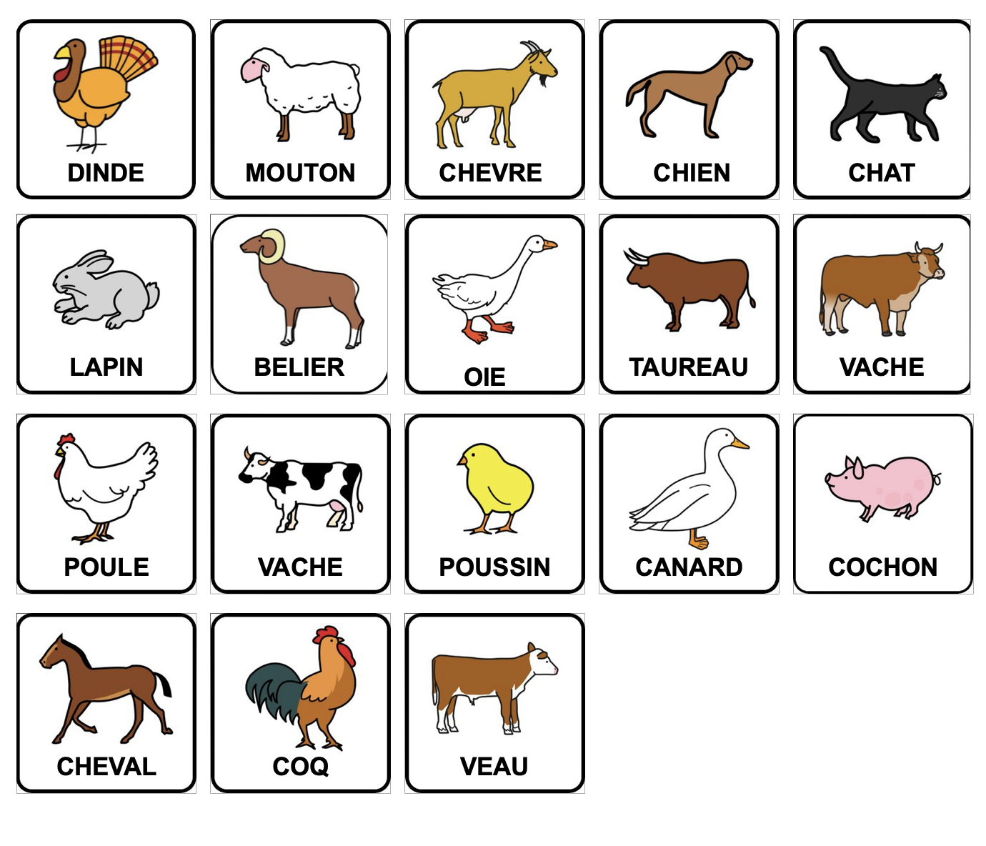 Roue classification des animaux